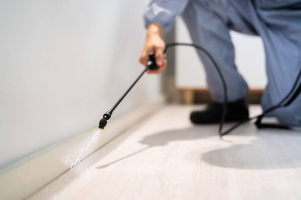 Licensed Cockroach Control service in Newark, IL - Nex Pest Control