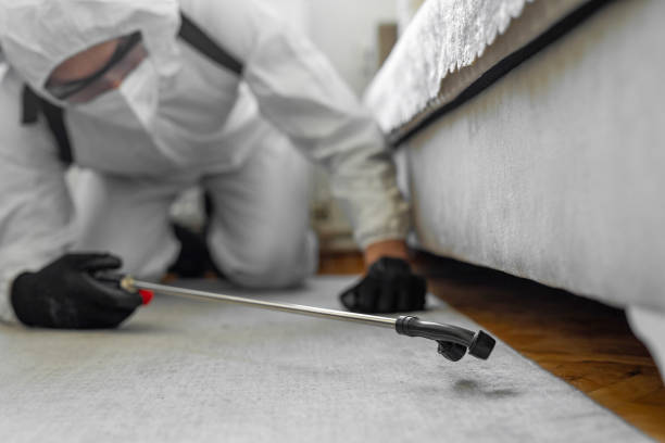 Professional Cockroach Control technician working in Newark, IL