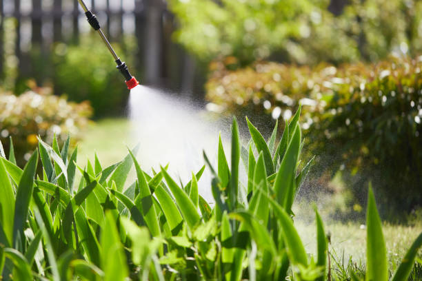 24/7 Emergency Cockroach Control experts in Newark, IL