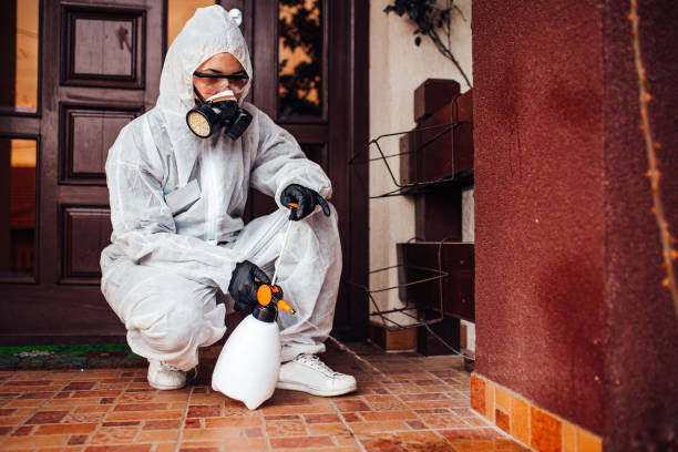 Reliable Cockroach Control contractor in Newark, IL by Nex Pest Control